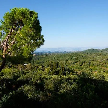 Aurora Corfu Πέλεκας